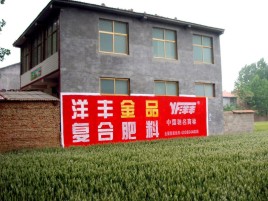  陇县如何让墙体广告展现最大化效果