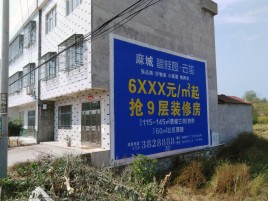  陇县墙体广告质量分析