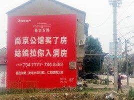  陇县墙体广告在乡镇、农村市场的媒体优势