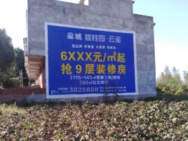 陇县品牌公司青睐的墙体广告