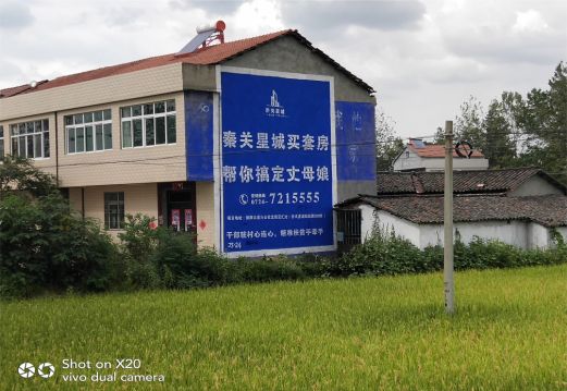 陇县决定墙体广告价格的因素有哪些?