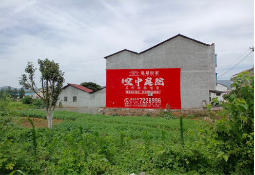  陇县做墙体广告的意义